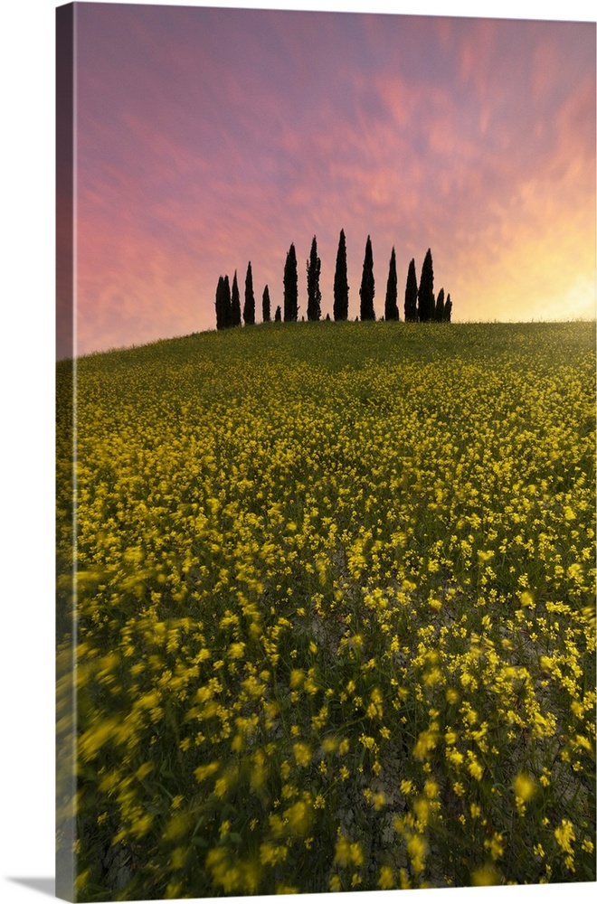 San Quirico d'Orcia during a spring sunset, San Quirico d'Orcia, Siena Province, Tuscany, Italy.