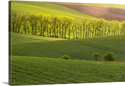 Scenic View Of Green Rolling Hills Near Kyjov, Moravia, Czech Republic