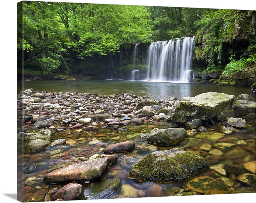Scwd Ddwli waterfall on the Nedd Fechan River near Ystradfellte, Brecon Beacons National Park, Powys, Wales. Summer, June,...