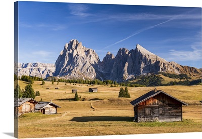 Seiser Alm, Alpe Di Siusi, Dolomites, Veneto, Italy, Europe