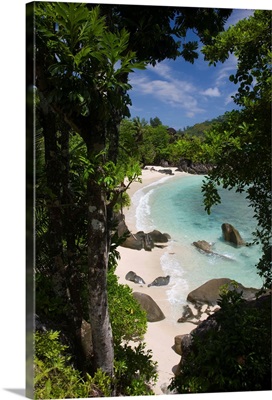 Seychelles, Mahe Island, Port Launay Marine National Park