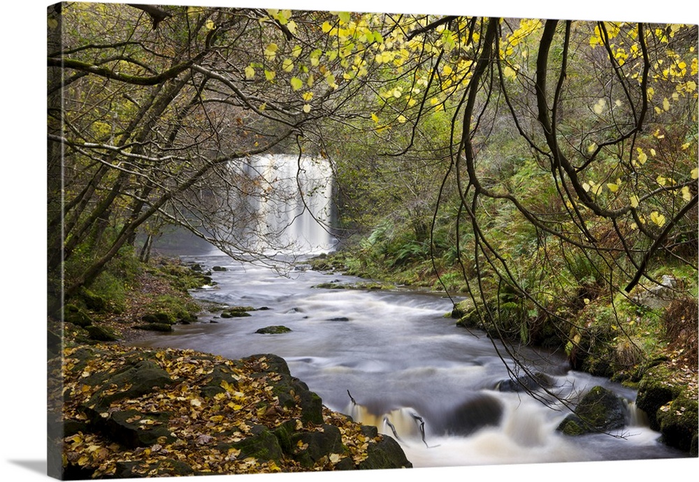 Sgwd yr Eira waterfall on the Afon Mellte river near Ystradfellte, Brecon Beacons National Park, Powys, Wales, UK. Autumn,...