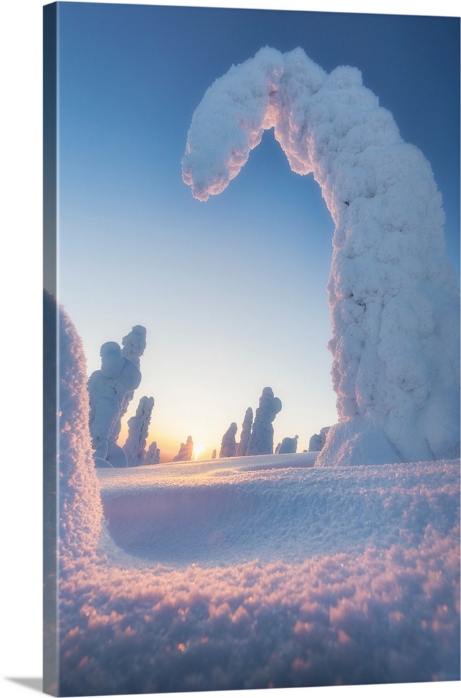 Shapes of frozen trees, Riisitunturi National Park, Posio, Lapland, Finland.