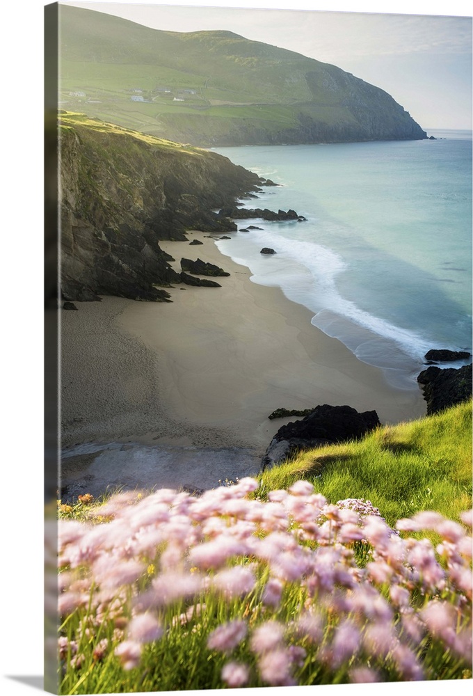 Slea Head, Dingle peninsula, County Kerry, Munster province, Ireland, Europe. View of the Coumeenoole beach at sunrise wit...