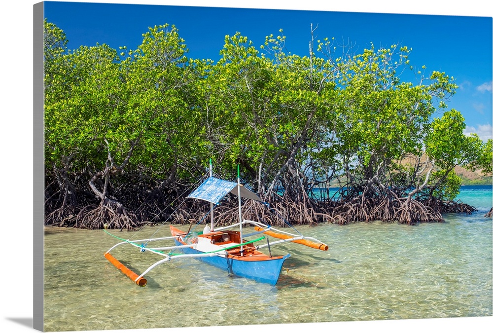 Small outrigger boat and mangrove trees (Rhizophora mangle) on CYC Island, Coron, Palawan, Philippines.