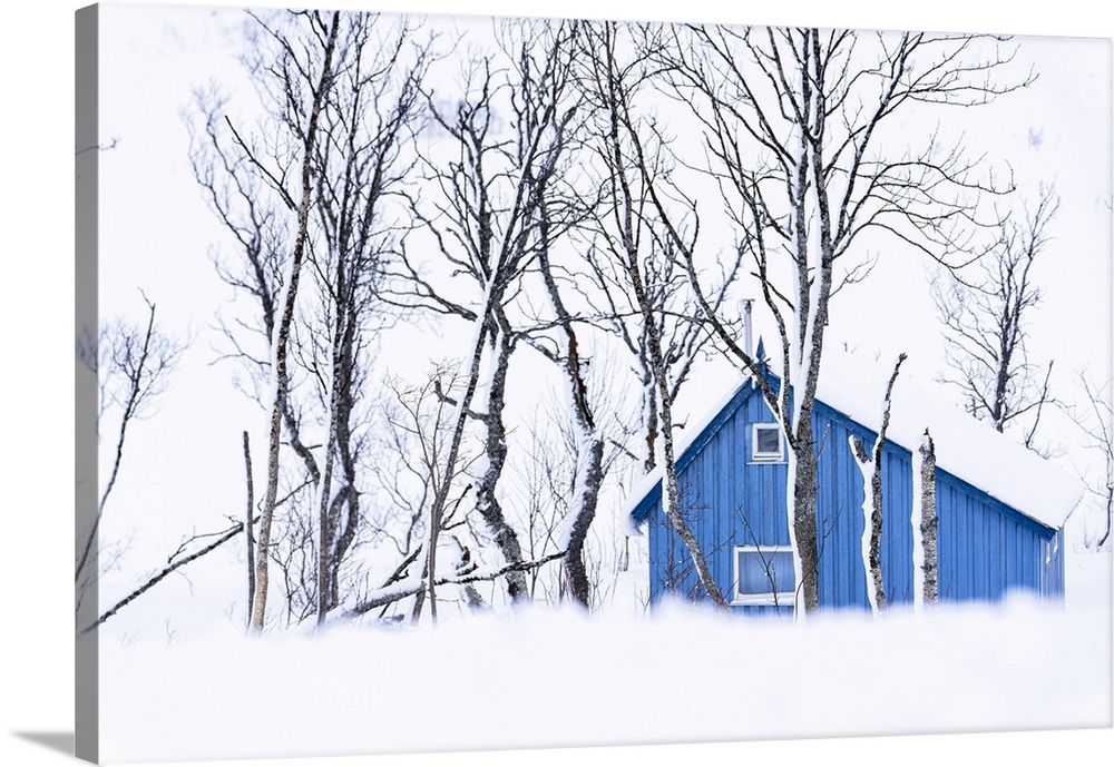 Isolated house covered with snow framed by frozen trees, Kvaloya, Sommaroy, Troms county, Norway