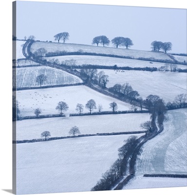 Snow covered winding country lane and rural landscape near Stockleigh Pomeroy