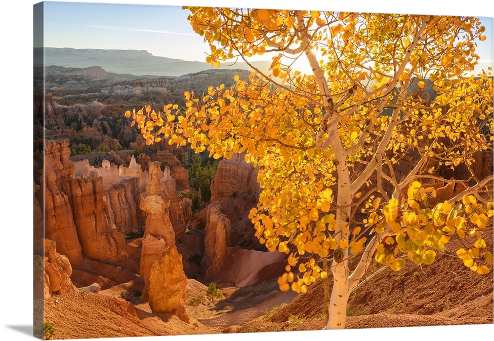 USA, Southwest, Colorado Plateau, Utah, Bryce Canyon, National Park, UNESCO World Heritage.