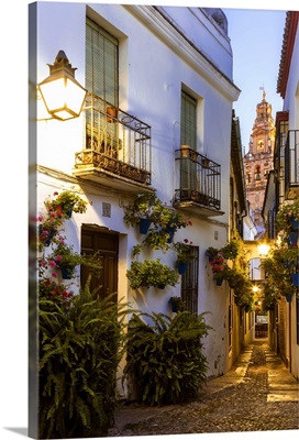 Spain, Andalusia, Cordoba. Calleja de las flores in the old town, at dusk