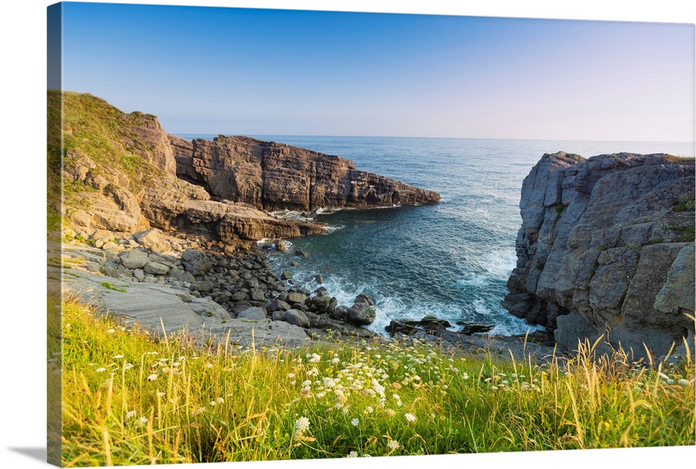 Spain, Cantabria, Castro-Urdiales, Cove With Wild Flowers.
