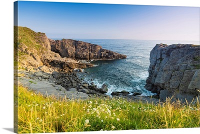 Spain, Cantabria, Castro-Urdiales, Cove With Wild Flowers