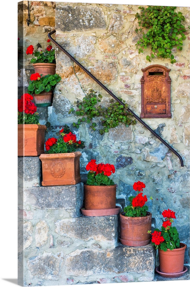 Staircase Of Geraniums, Tuscany, Italy