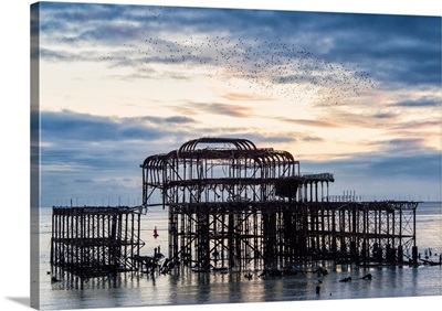 Starling Murmuration Above Brighton West Pier, East Sussex, England