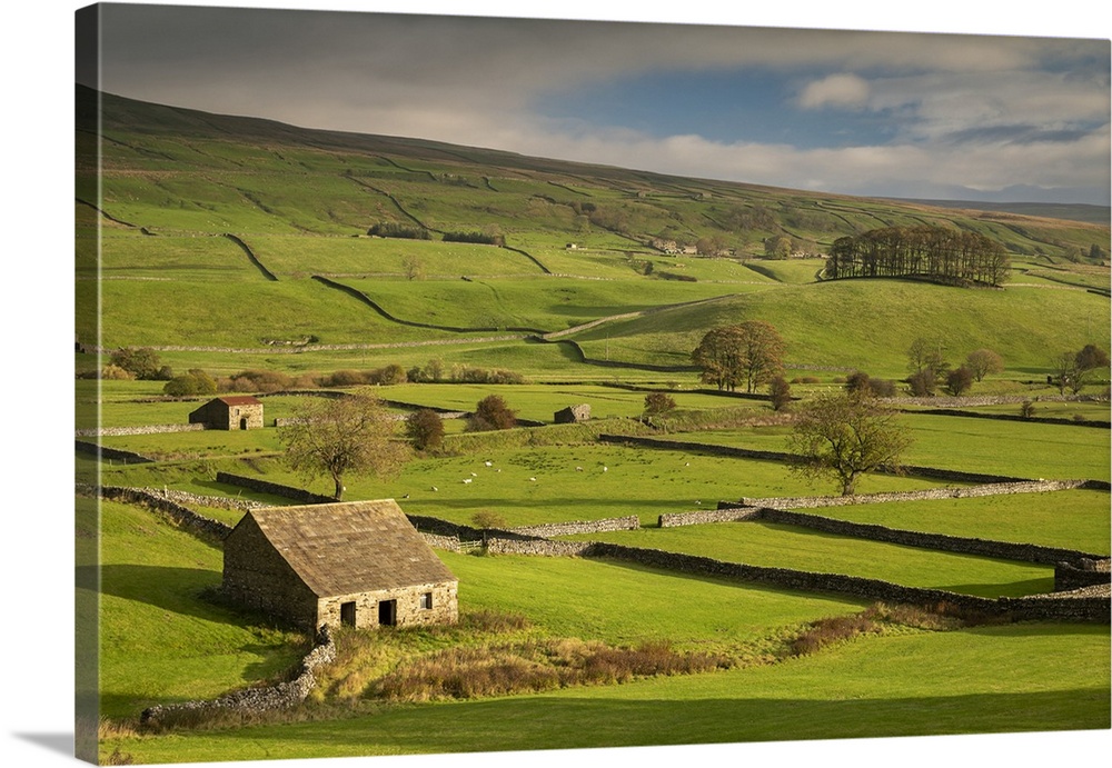 Stone barns and dry stone walls in beautiful Wensleydale in the Yorkshire Dales National Park, Yorkshire, England. Autumn ...