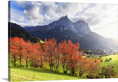 Sunlight Illuminates Red Leafs Of Cherry Trees, Siusi Allo Sciliar, Dolomites, Italy