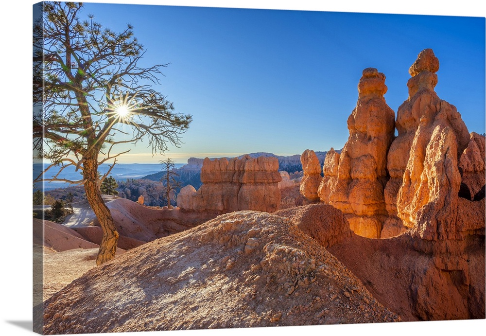 Sunrise At Bryce Canyon National Park, Utah, USA