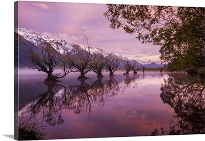 Sunrise At Glenorchy, Otago, New Zealand