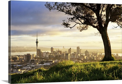 Sunrise From Mount Eden, Auckland, New Zealand