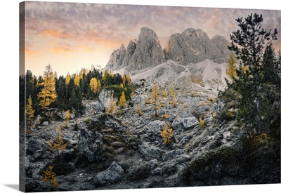 Sunrise In Odle Mountains Group With Yellow Trees,  Funes Valley, South Tyrol, Italy