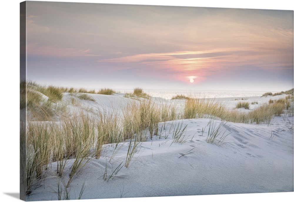Sunrise in the dunes of the Ellenbogen nature reserve, Sylt, Schleswig-Holstein, Germany