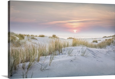 Sunrise In The Dunes Of The Ellenbogen Nature Reserve, Sylt, Schleswig-Holstein, Germany