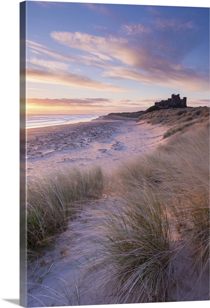 Sunrise over Bamburgh Beach and Castle from the sand dunes, Northumberland, England. Spring (March)