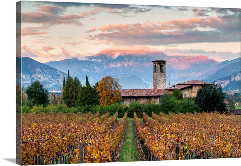 Sunset Among The Vineyards Overlooking Mount Guglielmo, Brescia Province, Lombardy District, Italy.