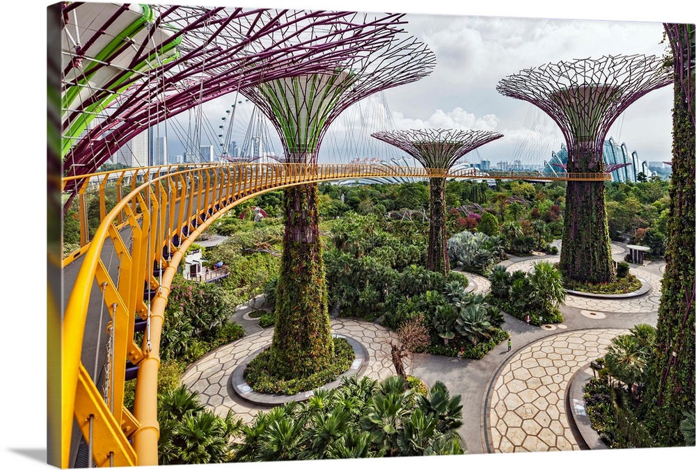 Supertree Grove and skywalk in the Gardens by the Bay, Marina South, Singapore.