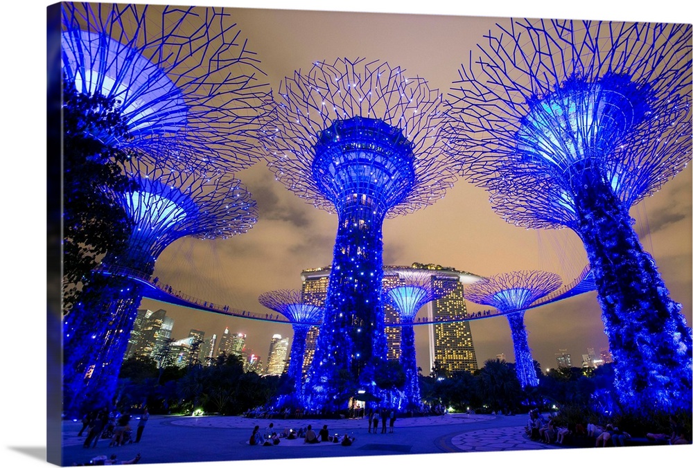 Supertrees at Gardens by the Bay, illuminated at night, Singapore, Southeast Asia