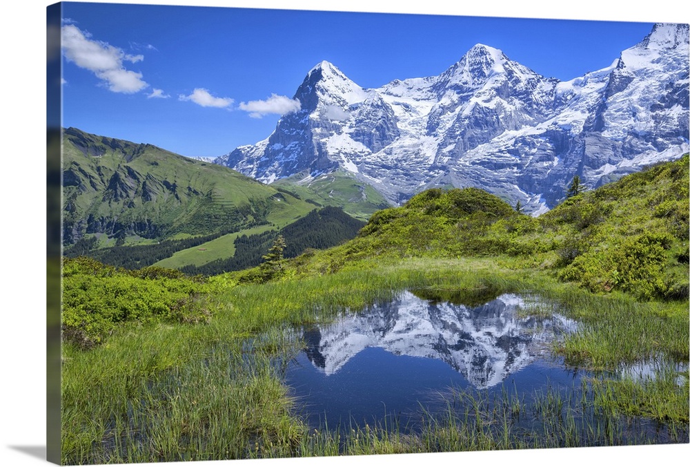 Europe, Switzerland, Bern, Bernese Oberland, Reflection in pond with eiger.