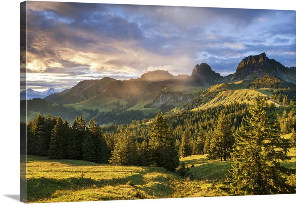 Switzerland, Berner Oberland, Gurnigel.