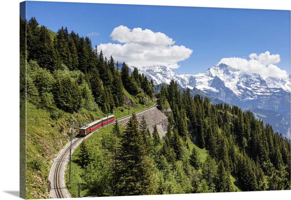 Switzerland, Berner Oberland, Schynige Platte train.