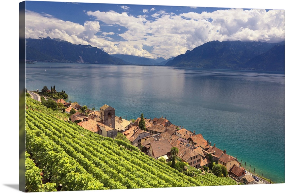 Switzerland, Vaud, Lavaux Vineyards, St. Saphorin Village and Lac Leman / Lake Geneva