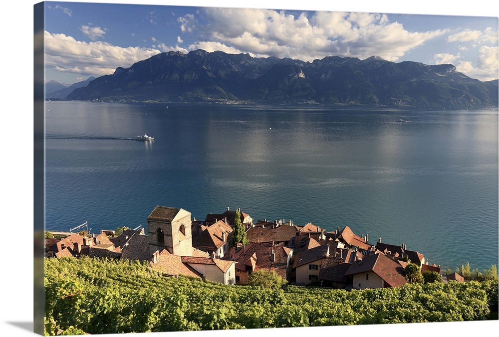 Switzerland, Vaud, Lavaux Vineyards, St. Saphorin Village and Lac Leman / Lake Geneva