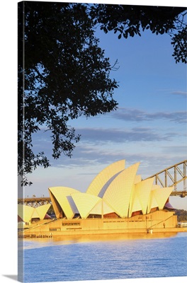 Sydney Opera House and Harbour Bridge, Darling Harbour, Sydney,  Australia