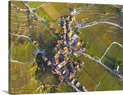 Terrasses De Lavaux Vineyards, Lake Geneva (Lac Leman), Vaud, Switzerland