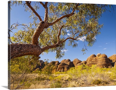 The Beehive Domes Of The Bungle Bungles, Purnululu National Park, Australia
