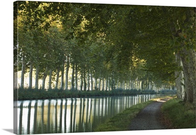 The Canal du Midi in Southern France