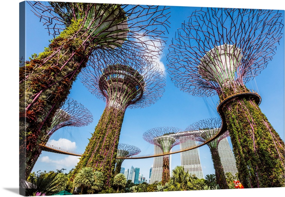 The famous Supertree grove at Gardens by the Bay, Singapore.