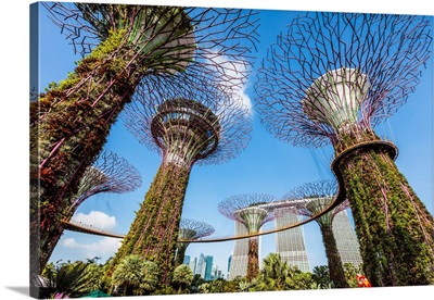 The Famous Supertree Grove At Gardens By The Bay, Singapore
