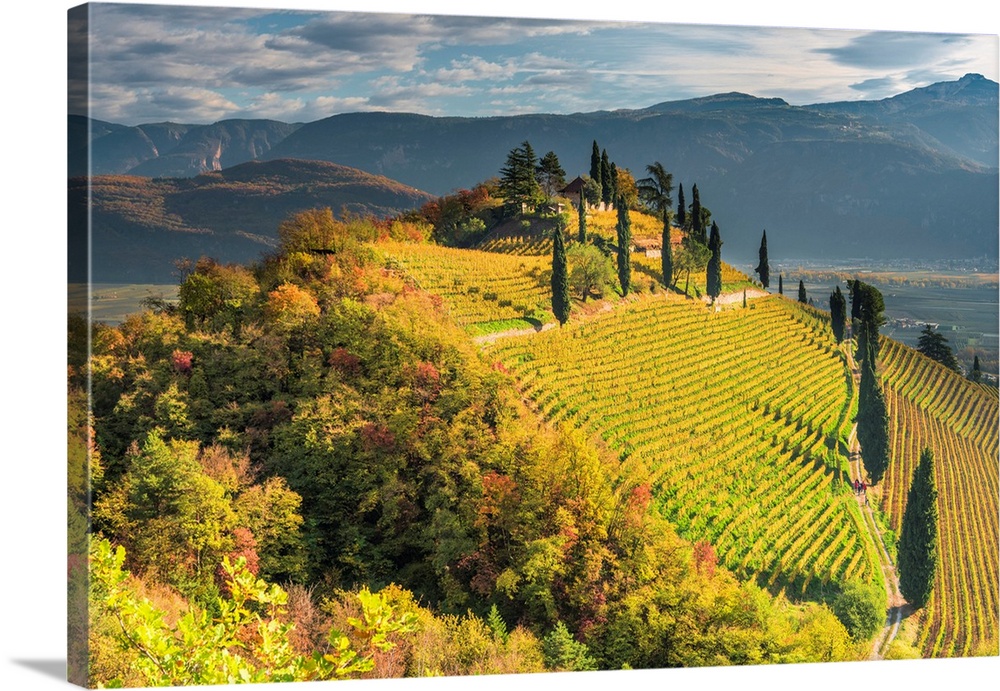 Termeno/Tramin, Province Of Bolzano, South Tyrol, Italy, Europe. The Hill Of Kastelaz With His Vineyards