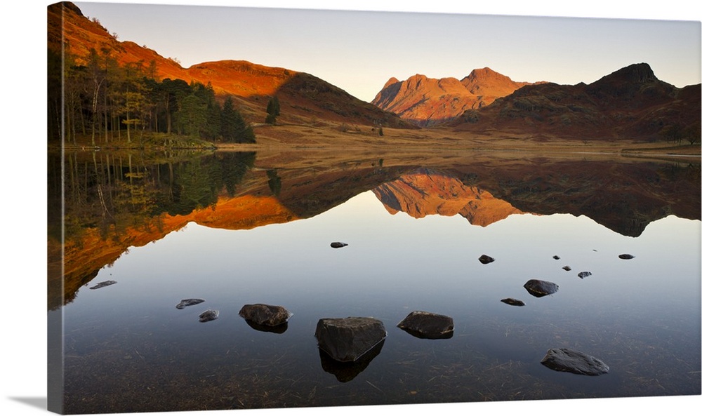 The Langdale Pikes reflected in a mirrorlike Blea Tarn at sunrise, Lake District National Park, Cumbria, England, UK. Autu...