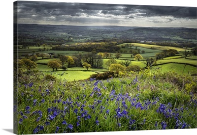 The Marshwood Vale In Spring From Coney's Castle, Dorset, England, UK