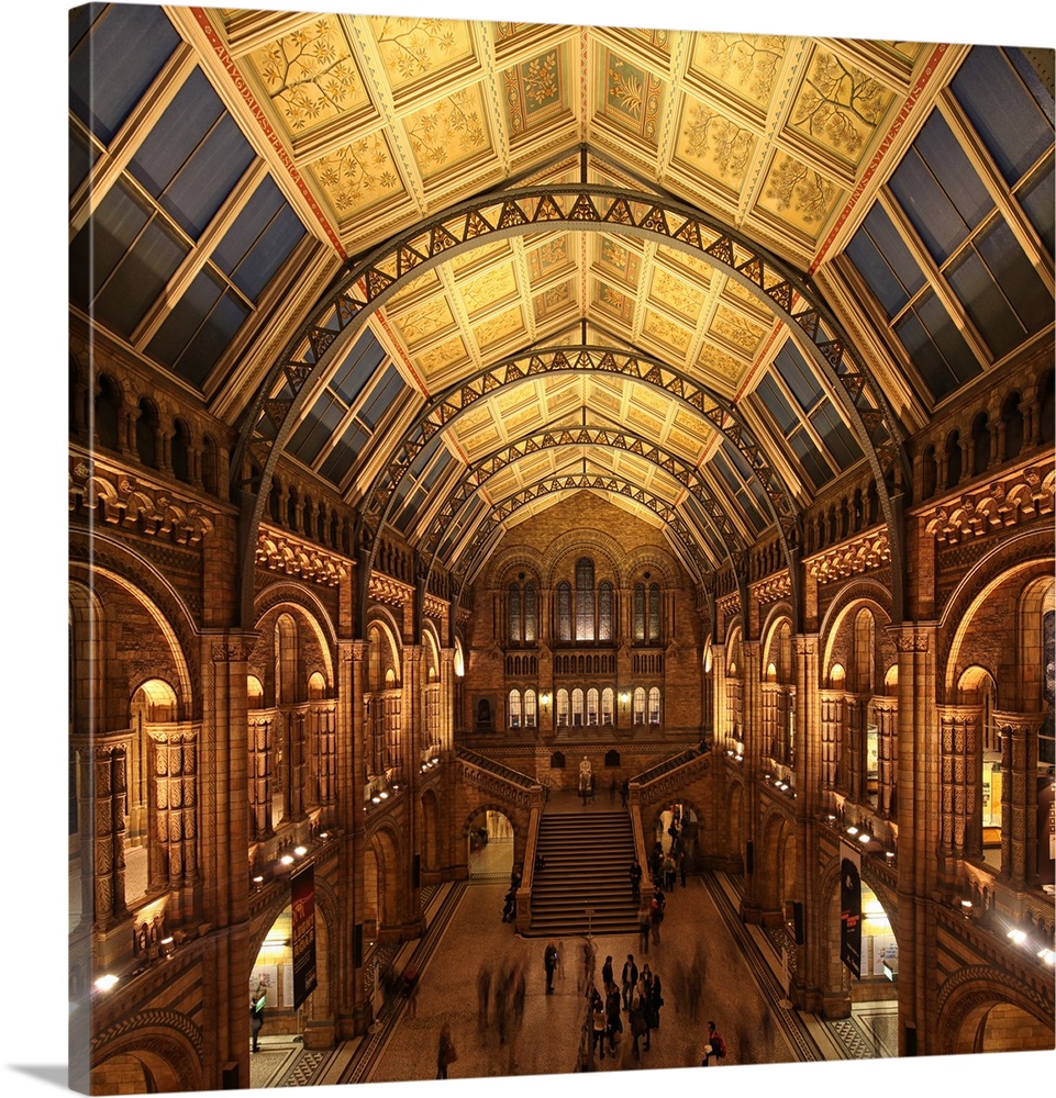 The Natural History Museum is one of three large museums on Exhibition Road, South Kensington, London.