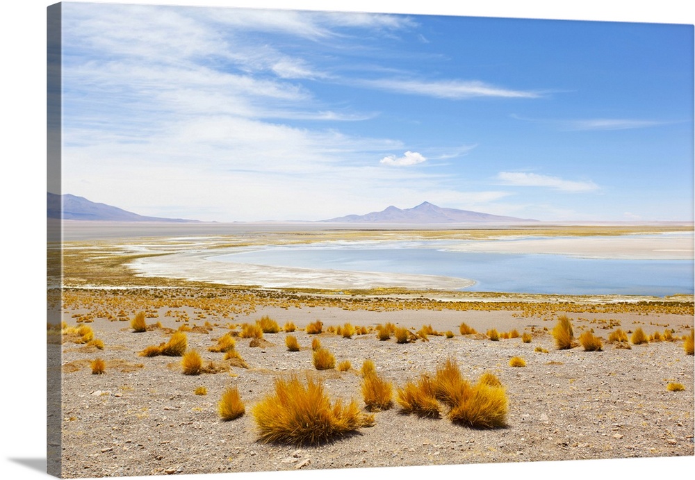 The "Salar de Tara" salt flat landscape, El Loa province, Antofagasta Region, Chile