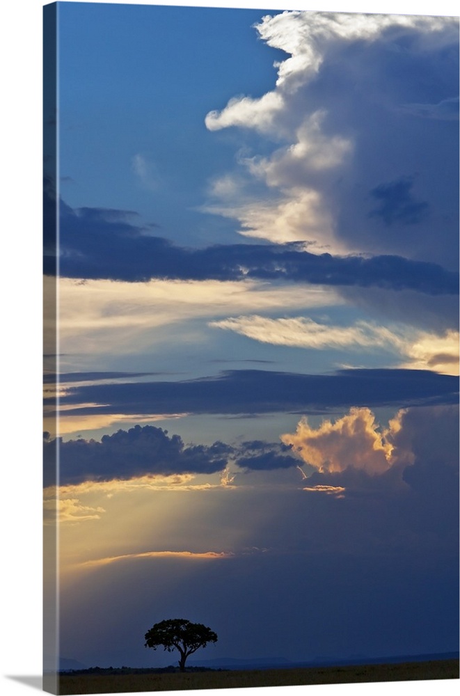 In the late afternoon, the sun breaks through a stormy sky in Masai-Mara National Reserve.