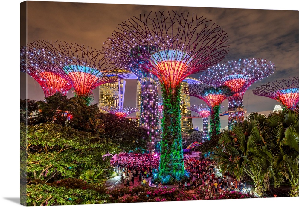 The Supertree Grove light show at Gardens by the Bay nature park, Singapore.