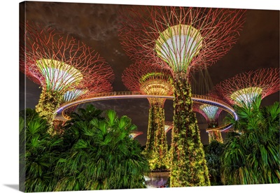 The Supertree Grove Light Show At Gardens By The Bay Nature Park, Singapore
