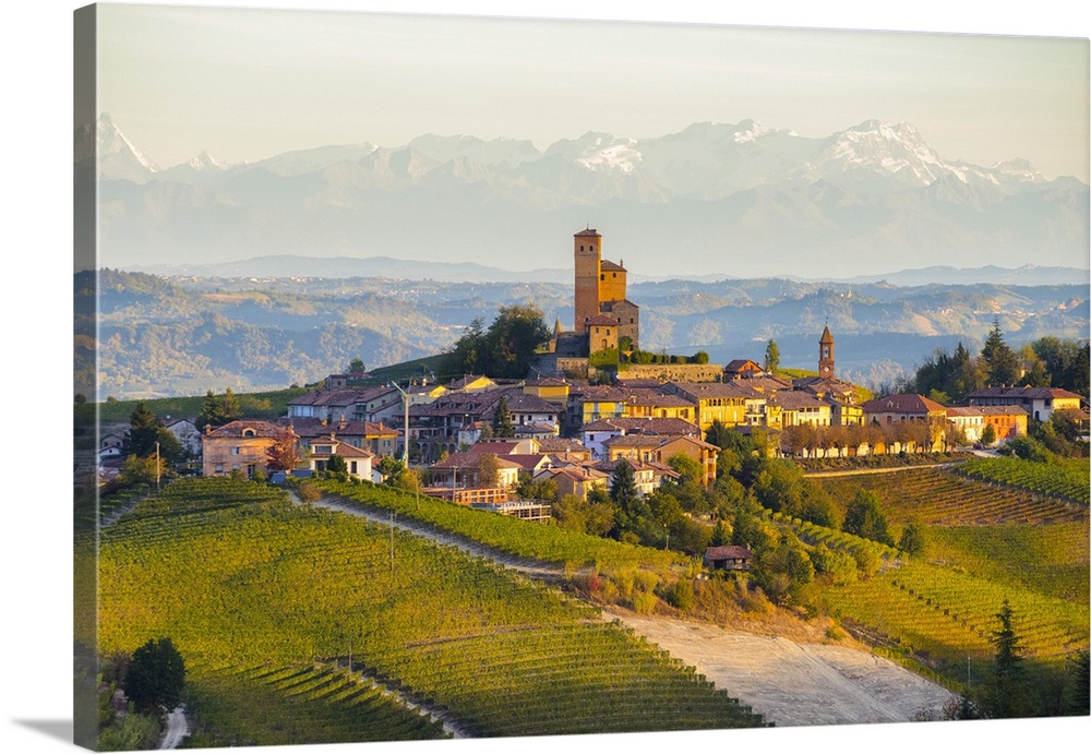 The vineyards of Serralunga d'Alba and Alps in background during autumn sunrise, Serralunga d'Alba, Langhe, Cuneo district...