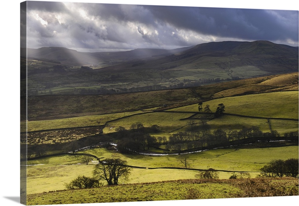 Traditional Drystone wall and farming in Swaledale, Yorkshire Dales National Park.